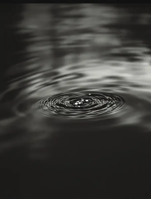 水之时间 - 瀑布摄影，2022年，在线视频观看影视鉴赏