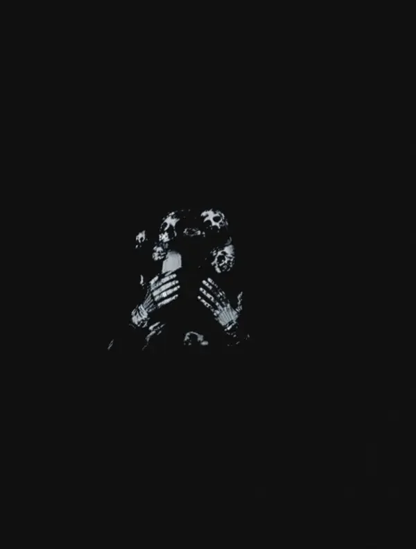 作者电影展映 - 作者电影展映，2021年，在线视频观看影视鉴赏