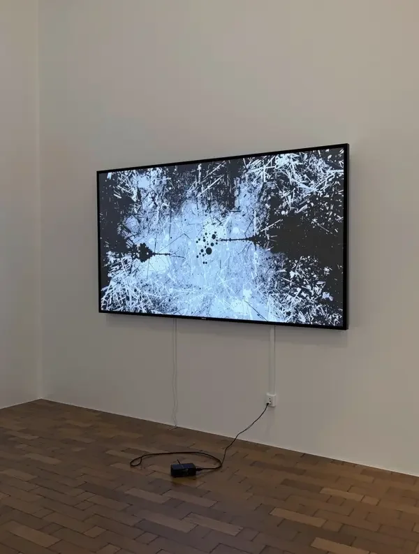 空间的银幕 - 装置艺术影像，2023年，在线视频观看影视鉴赏