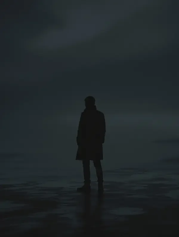独行者的镜语 - auteur，中国大陆2019年，在线视频观看影视鉴赏