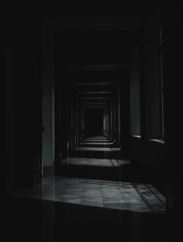 美学的流派 - 摄影美学流派，2021年，在线视频观看影视鉴赏