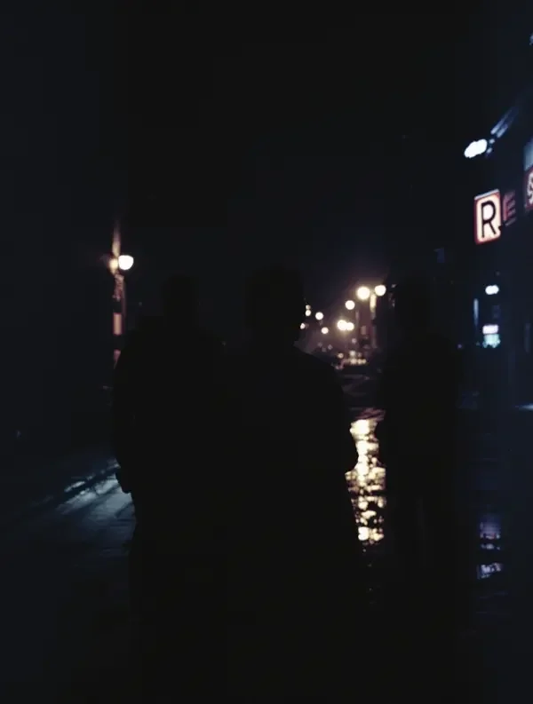字幕组的夜 - 影展幕后纪实，2022年，在线视频观看影视鉴赏
